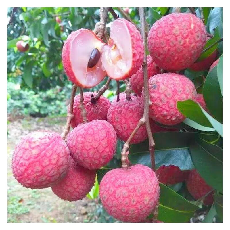 四川省农业农村厅